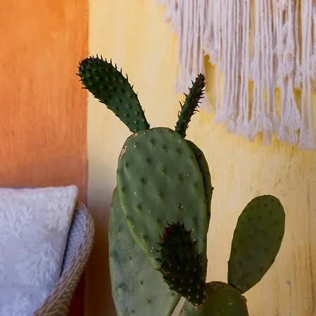 °° Anna°° Feriehus *