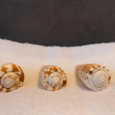 °° Anna°° Feriehus Villasimius